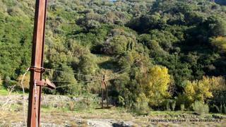 nte Scuderi-23-11-2014 09-46-05